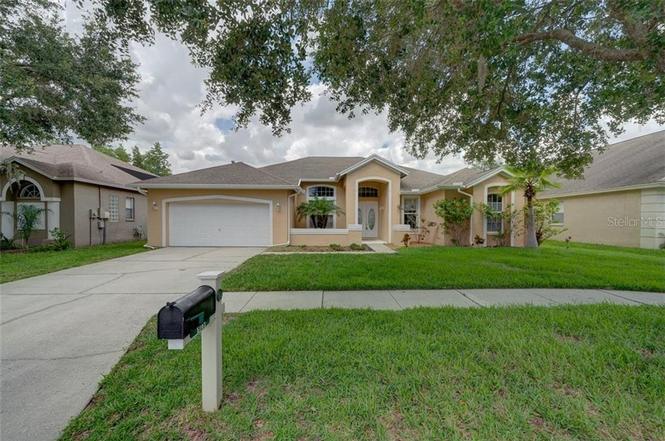 homes for rent in lutz florida 33558