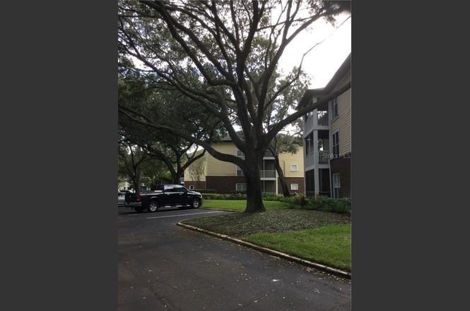 10024 Strafford Oak Ct #821 TAMPA FL 33624 MLS# T3268369 Redfin 10024 Strafford Oak Ct #821 TAMPA FL 33624 MLS# T3268369 Redfin