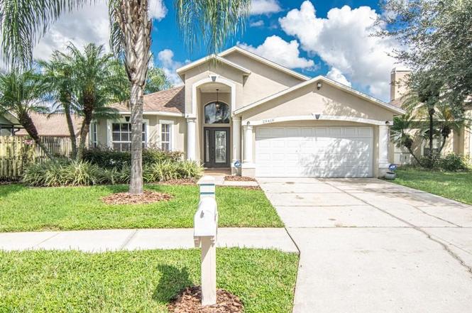 29419 Sea Dahlia Pass, Wesley Chapel, Fl 33543 