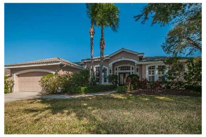 949 Belted Kingfisher Dr S, PALM HARBOR, FL 34683 | MLS# U7537504 | Redfin