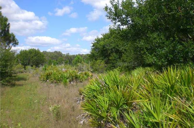 homes for sale on bermont rd punta gorda fl