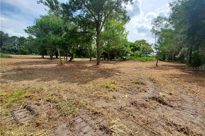 homes for sale in dade city fl 33523