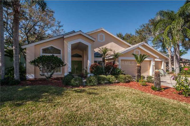 844 Belted Kingfisher Dr S, PALM HARBOR, FL 34683 | MLS# U7573806 | Redfin