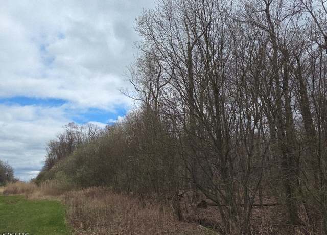 Property at 421 Mine Rd, Bethlehem Twp., NJ 08802-1107