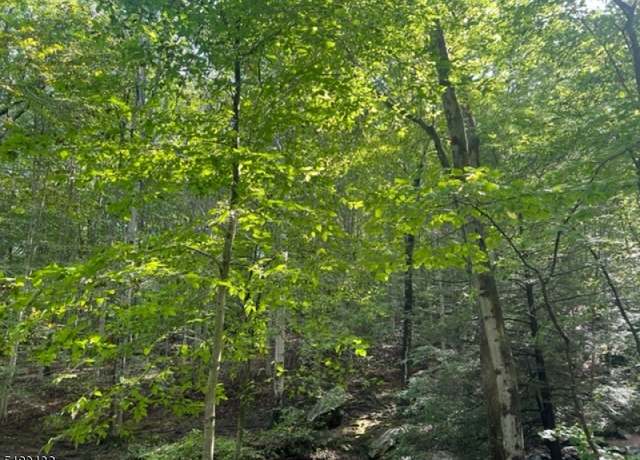 Property at 0 U.S. 46, Mine Hill Twp., NJ 07803