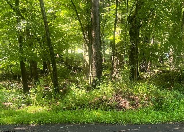 Property at 112 North Ct, Montague Twp., NJ 07827