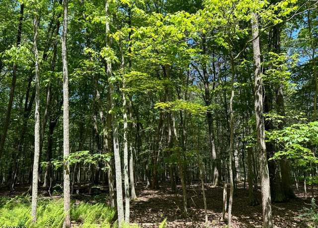 Property at 00 Devita Rd, Sandyston Twp., NJ 07826