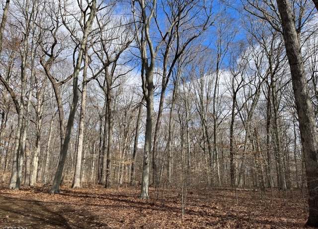 Property at 31 Sand Spring Ln, Harding Twp., NJ 07976