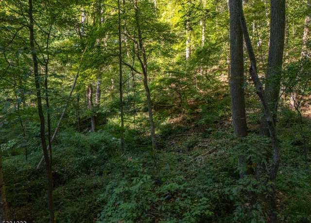 Property at 00 Sweet Hollow Rd, Holland Twp., NJ 08848