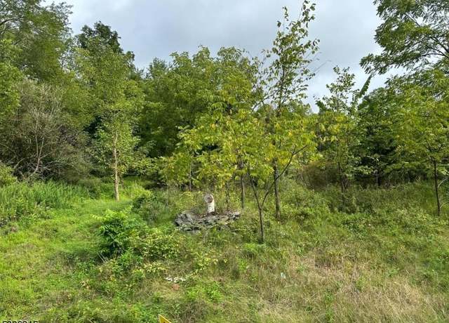 Property at 00 Pidgeon Hill Rd, Wantage Twp., NJ 07461