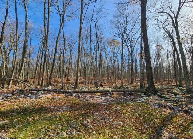 Property at 4 High Point Dr, Montague Twp., NJ 07827-3055