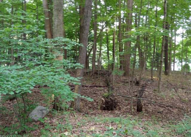 Property at 208 Highland Ave, Hampton Twp., NJ 07860-6754