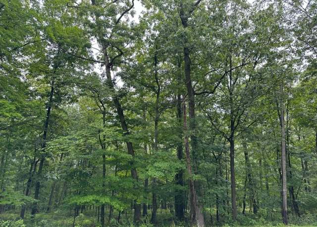 Property at 216 Mattison Reservoir Ave, Frankford Twp., NJ 07826-4006