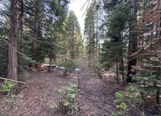 Property at 19 Rock Shelf Ln, Shaver Lake, CA 93664