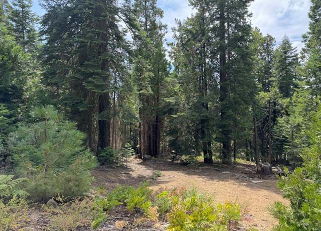 Property at 40541 Wild Rose Ln, Shaver Lake, CA 93664