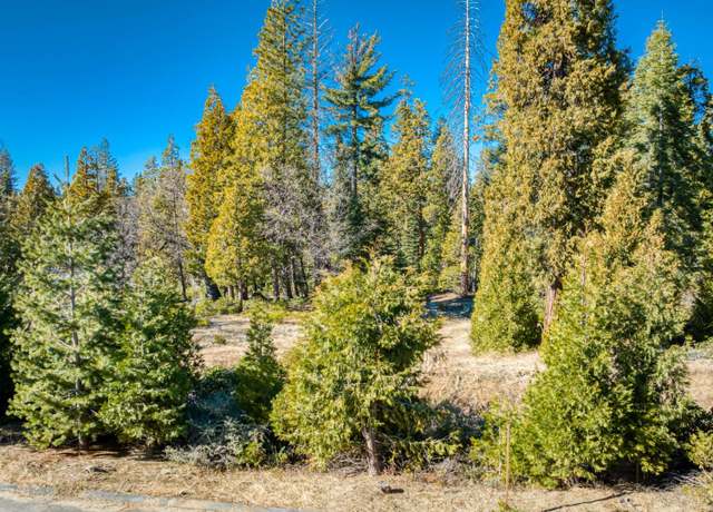 Property at 42322 Cook Cabin Ln, Shaver Lake, CA 93664, 4 beds, 3.5 baths