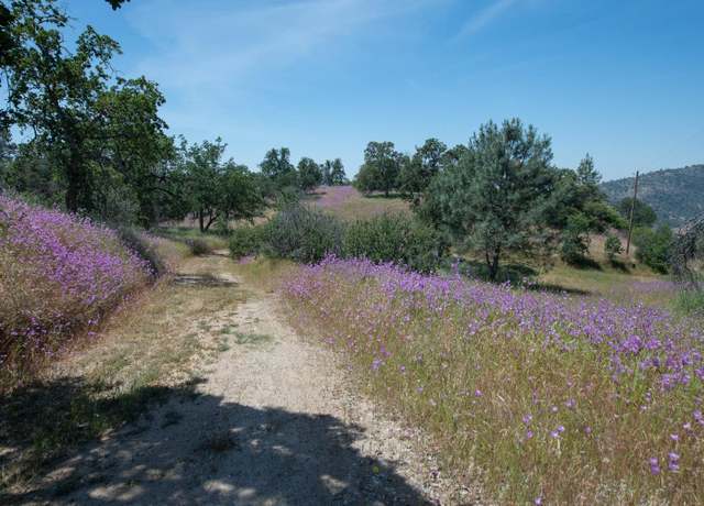 Property at 0 Pennyroyal, Prather, CA 93651