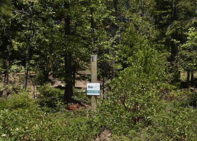 Property at 42137 Tourmaline Ln Lot 80, Shaver Lake, CA 93664