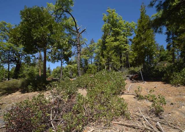 Property at 42251 Tourmaline Ln Lot 82, Shaver Lake, CA 93664