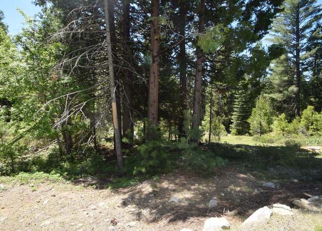 Property at 42084 Tourmaline Ln #102, Shaver Lake, CA 93664