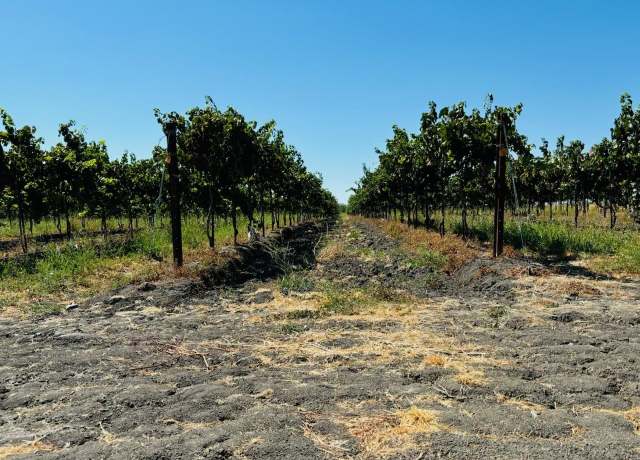 Property at 0 Courtland Rd, Out Of Area, CA 95612