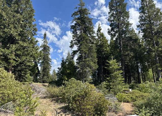 Property at 42307 Cook Cabin Ln, Shaver Lake, CA 93664