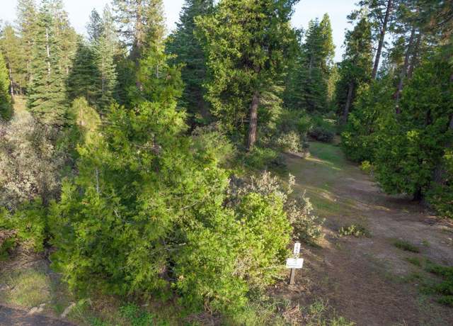 Property at 0 Leopard Lilly Ln, Shaver Lake, CA 93664