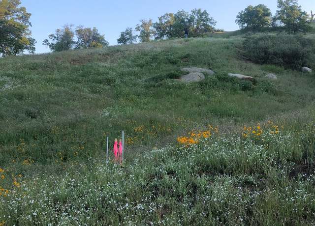 Property at 22229 Mary Rebecca Ln, Friant, CA 93626
