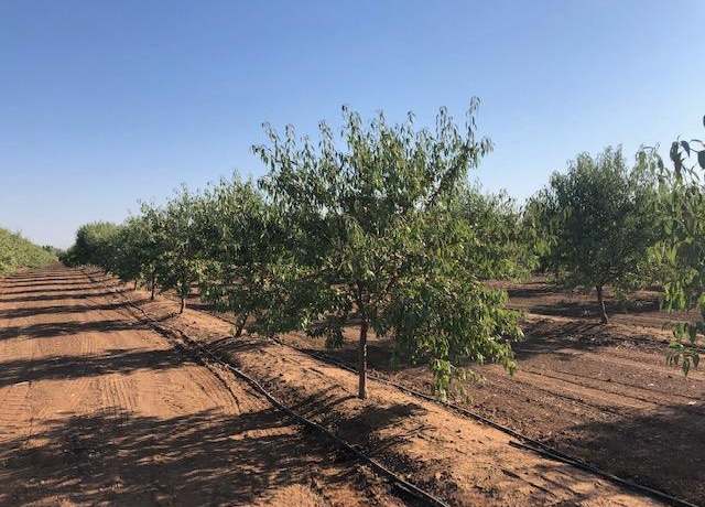 Property at 12000 E Shaw Ave, Clovis, CA 93619