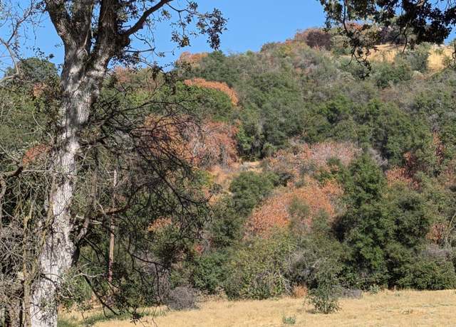 Property at 735 Bearclover Ln, Squaw Valley, CA 93675