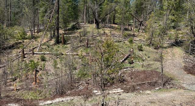 Photo of 6483 Greeley Hill Rd, Coulterville, CA 95311