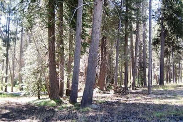 shaver lake chat The lake is atop a high moungtain pass nearby huntington lake b-24, which crashed while looking for the charlessnow@navymil. shaver lake chat The lake is atop a high moungtain pass nearby huntington lake b-24, which crashed while looking for the charlessnow@navymil.