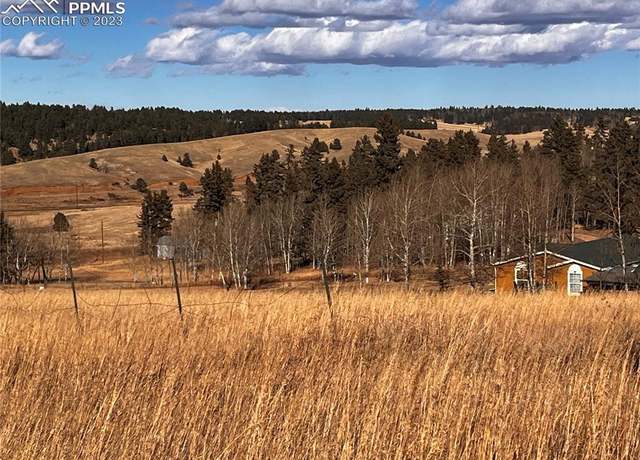 Property at 216 Will Scarlet Dr, Divide, CO 80814