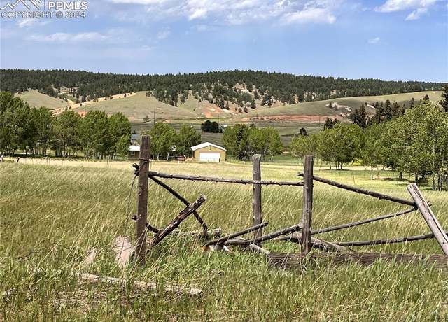 Property at 216 Will Scarlet Dr, Divide, CO 80814