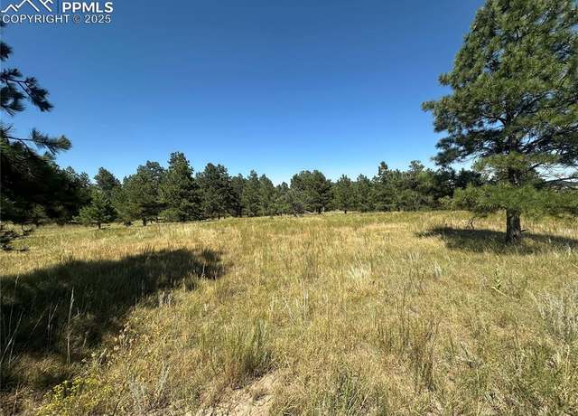 Property at 10385 Alamar Way, Colorado Springs, CO 80908
