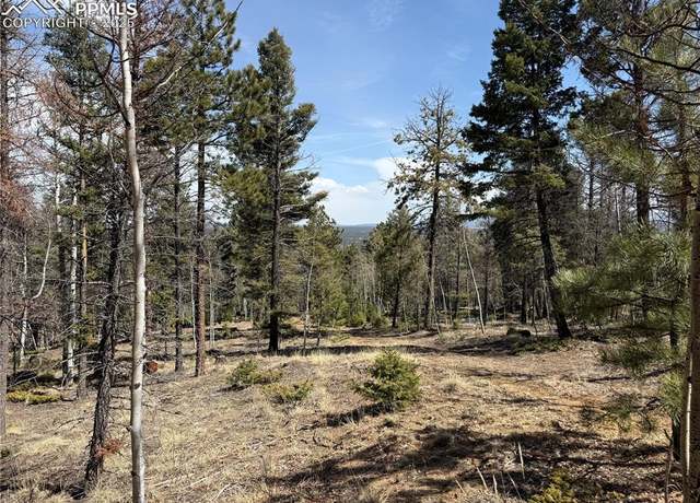 Property at 242 Apache Creek Dr, Florissant, CO 80816