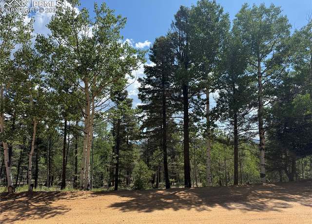 Property at 242 Apache Creek Dr, Florissant, CO 80816