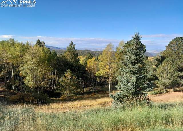 Property at 578 Crystal Dr, Cripple Creek, CO 80813