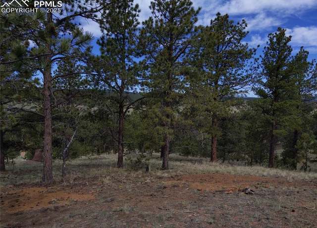 Property at 28 Pinnacle Cir, Florissant, CO 80816