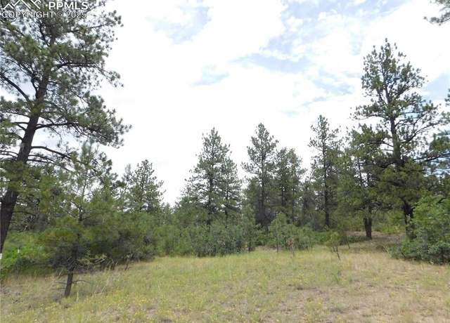 Property at R0173956 Pasque Ct, Larkspur, CO 80118