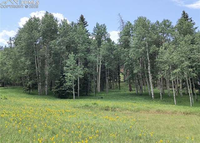 Property at Will Scarlet Dr, Divide, CO 80814