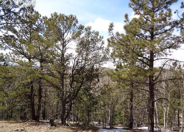 Property at 877 Princess Rd, Cripple Creek, CO 80813