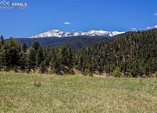 Property at 2721 Mountain Glen Ct, Woodland Park, CO 80863