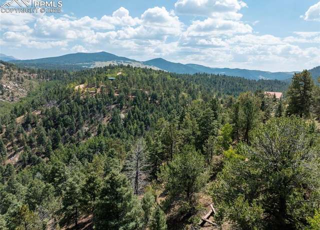 Property at 1151 Dandy Jim Dr, Cripple Creek, CO 80813