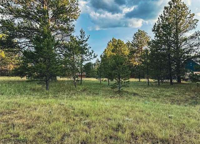 Property at 34 Quartz Cir, Florissant, CO 80816