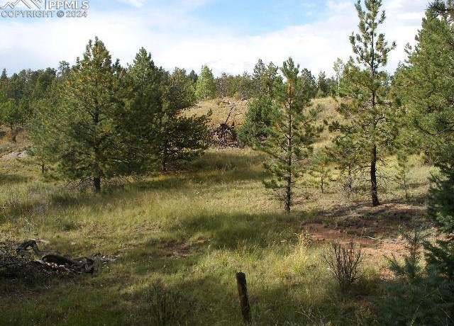 Property at 147 Merrywood Ln, Florissant, CO 80816