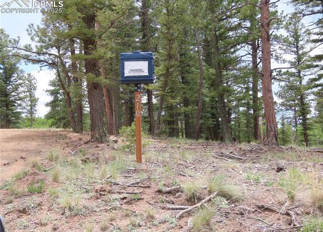 Property at 210 Donzi Trl, Florissant, CO 80816