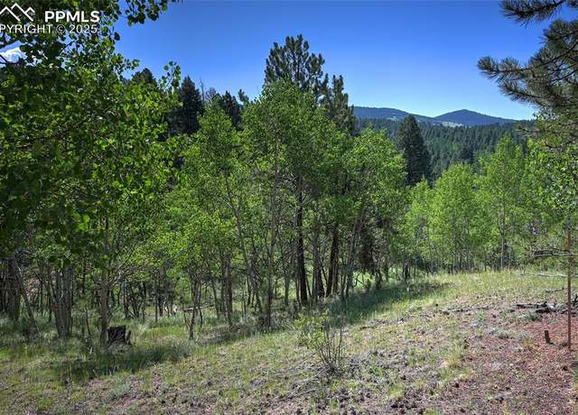 Property at 412 Princess Rd, Cripple Creek, CO 80813