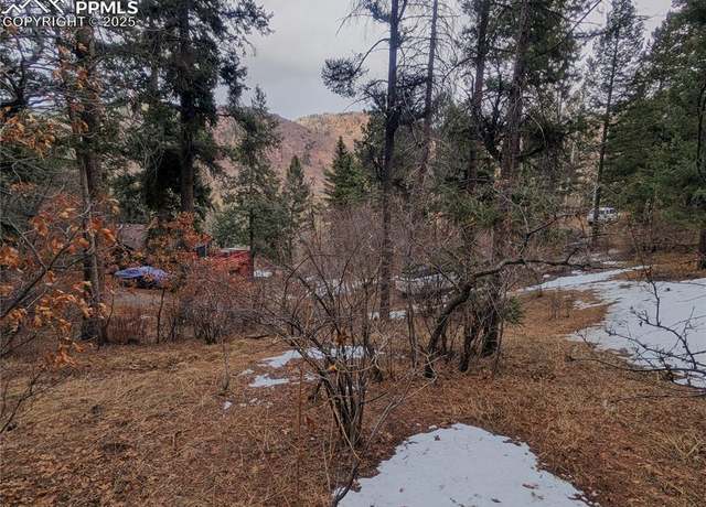 Property at Mountain Rd, Cascade, CO 80809