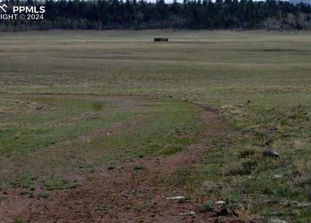 Property at 231 Elm Pl, Hartsel, CO 80449